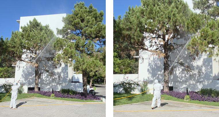 Proyecto Residencial San Pedro