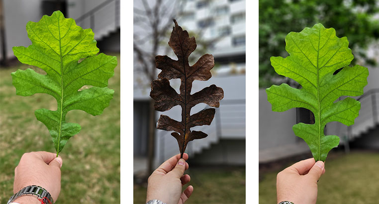 Proyecto Residencial San Pedro