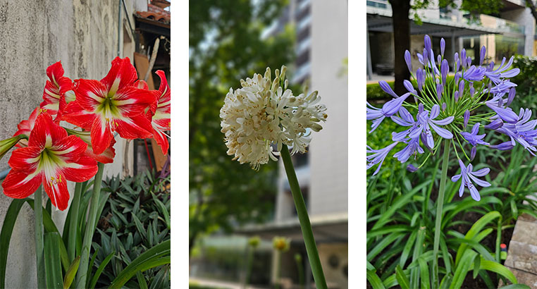 Proyecto Residencial San Pedro