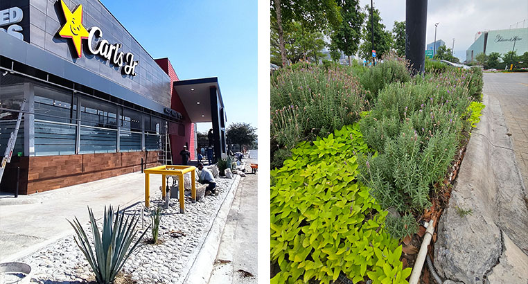 Proyecto Carl's Jr | Landscaping LASA