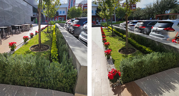 Proyecto Corporativo Oxxo