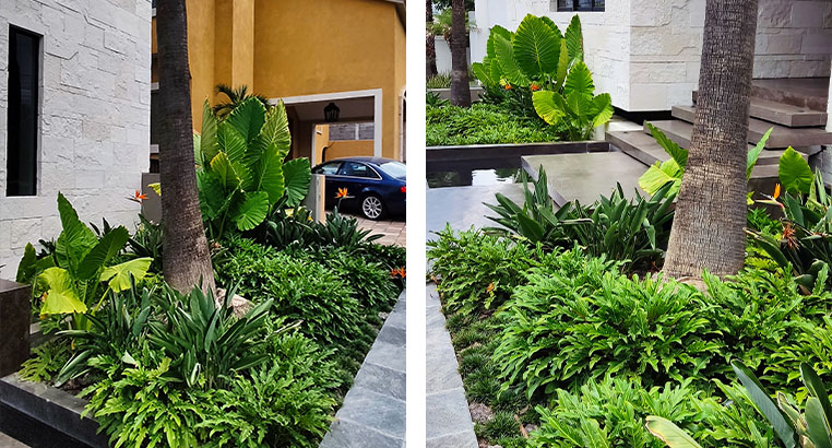 Proyecto Residencial San Pedro