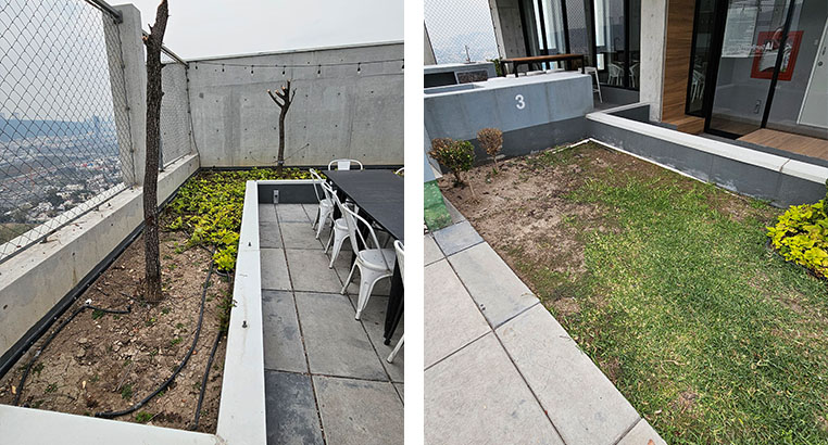 Proyecto Semillero La Purísima