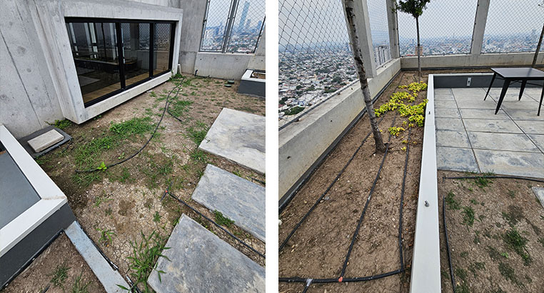 Proyecto Semillero La Purísima