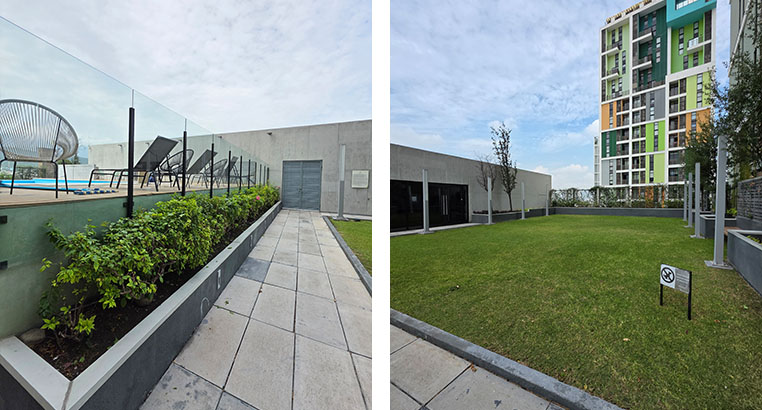 Proyecto Semillero La Purísima