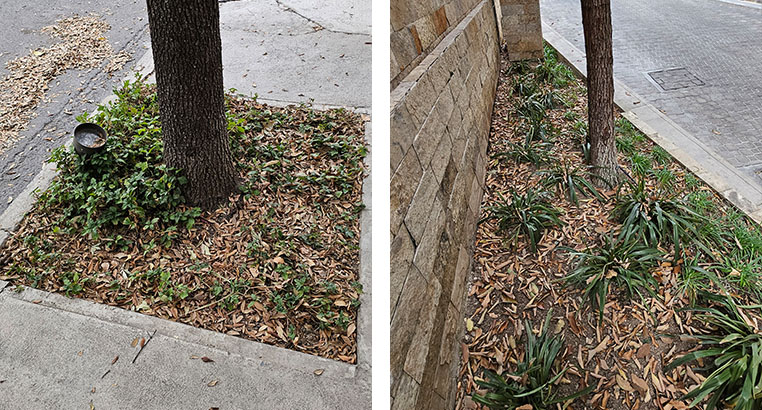 Proyecto Serena Green Living