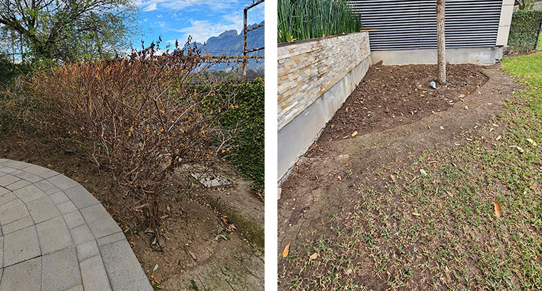 Proyecto Serena Green Living