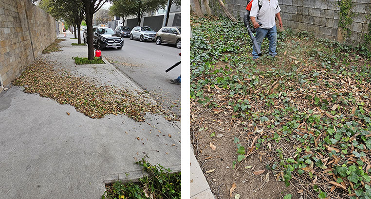 Proyecto Serena Green Living