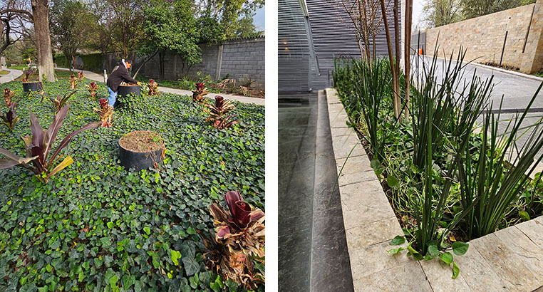 Proyecto Serena Green Living