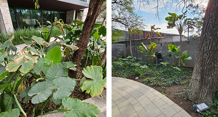 Proyecto Serena Green Living