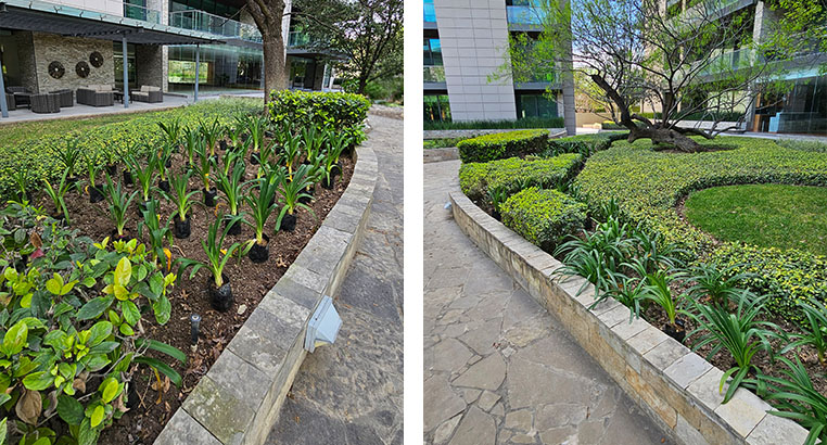 Proyecto Serena Green Living