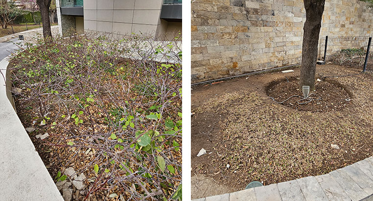 Proyecto Serena Green Living