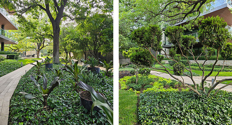 Proyecto Serena Green Living