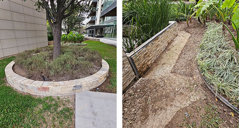 Proyecto Serena Green Living