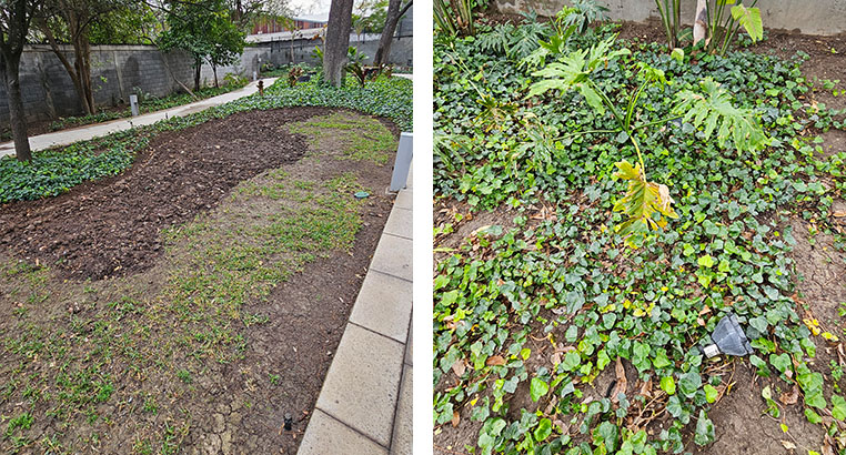 Proyecto Serena Green Living