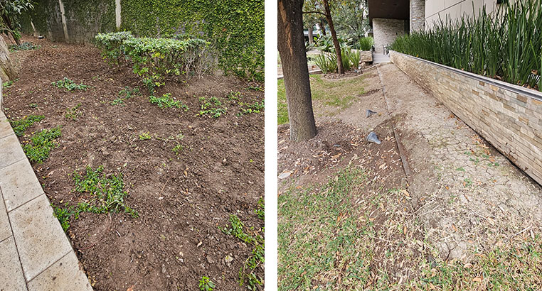 Proyecto Serena Green Living